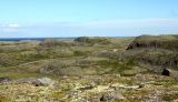 Дальние Зеленцы, image of landscape/habitat.