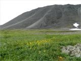 Image of landscape