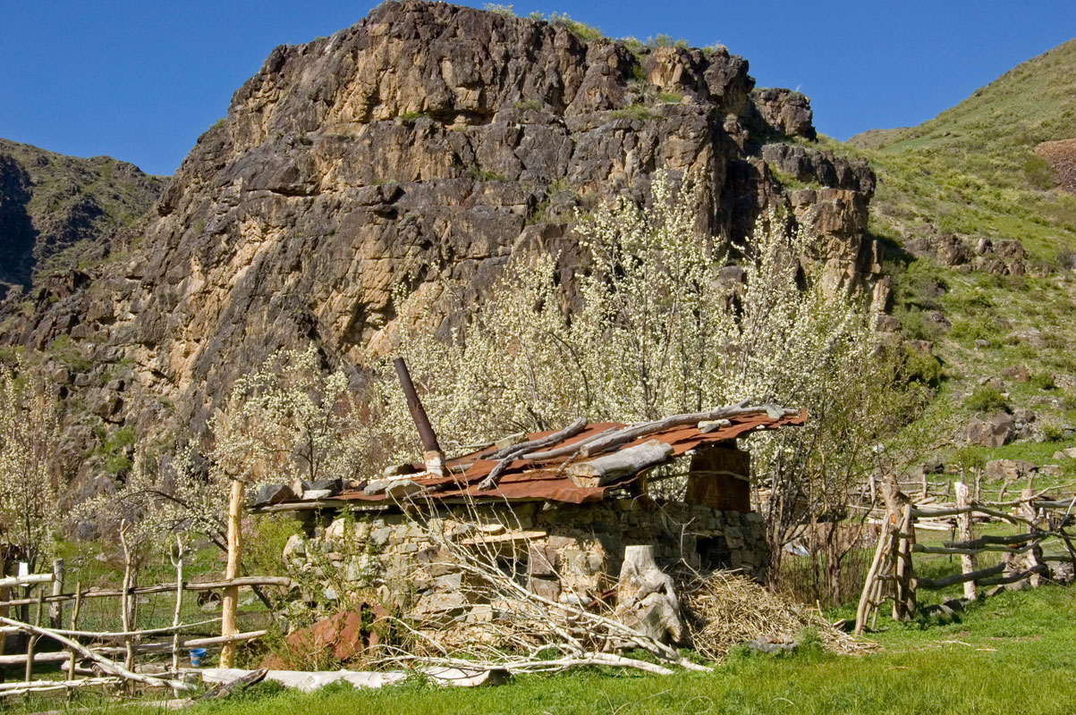 Ущелье Ерзасай, изображение ландшафта.