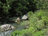 Image of landscape