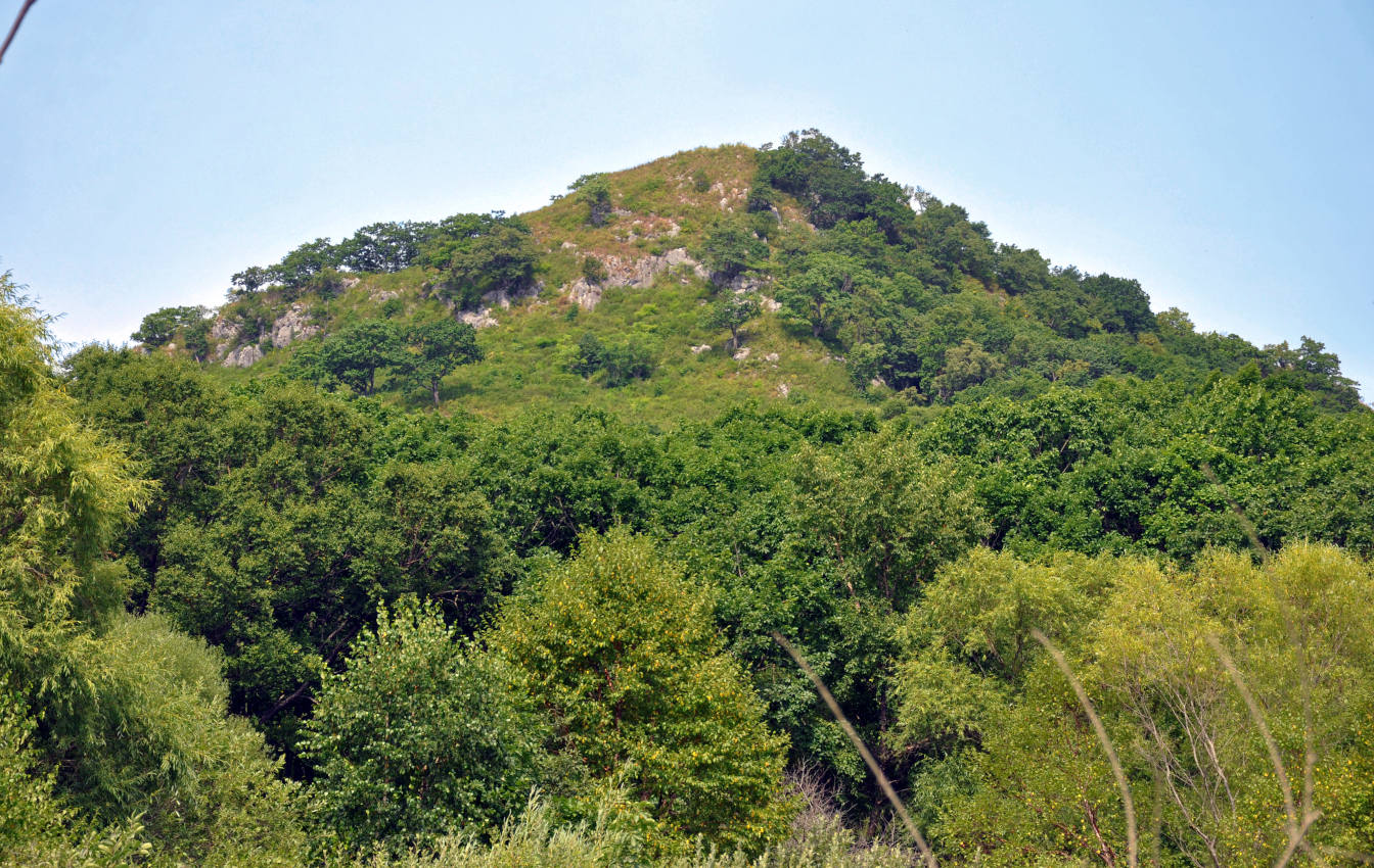 Гора Племянник, image of landscape/habitat.
