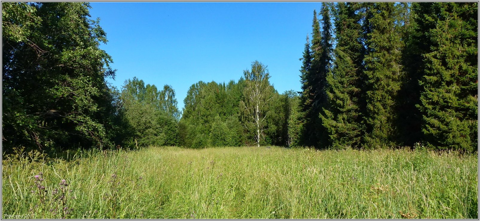 Деревня Коншаки, image of landscape/habitat.