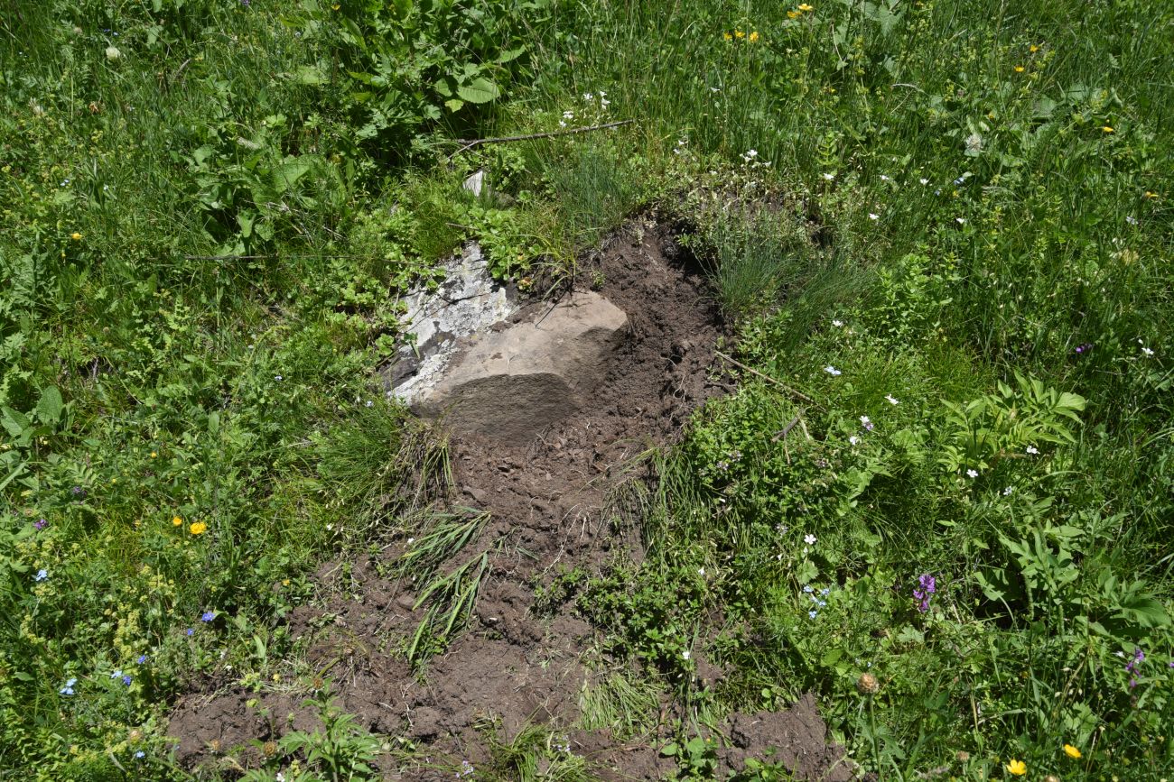Верхнее течение Чадыри, image of landscape/habitat.