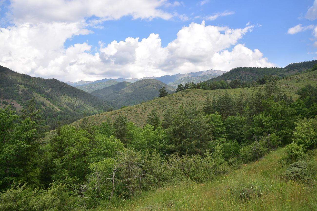 Цинубанская баня, image of landscape/habitat.