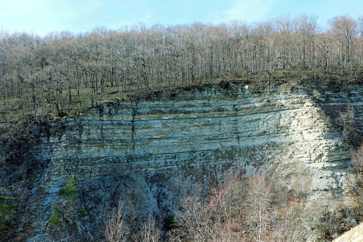 Плесецкая щель, image of landscape/habitat.