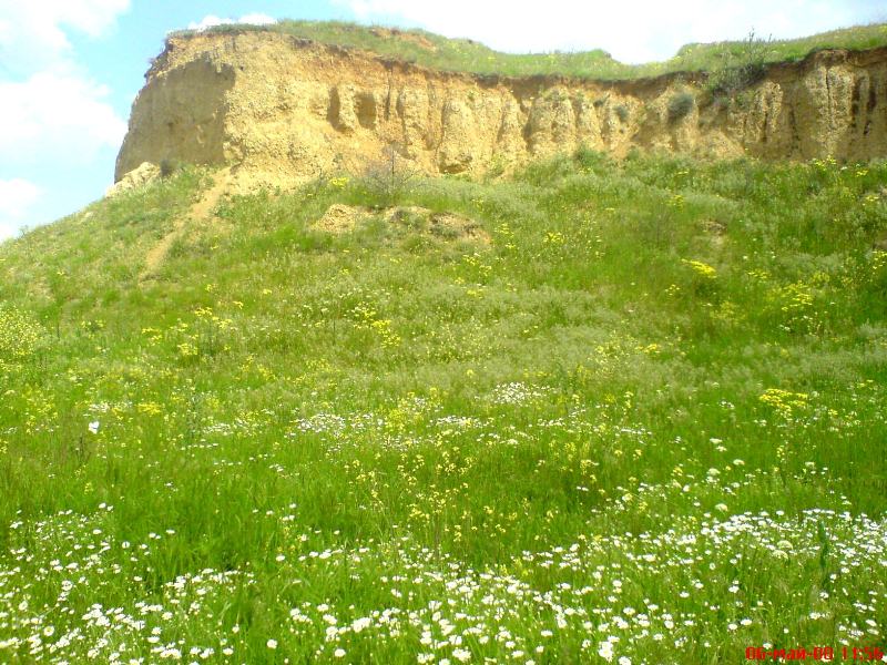 Днестровский лиман, изображение ландшафта.