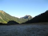 Image of landscape