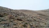 Image of landscape