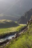 Image of landscape