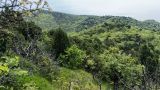 Image of landscape