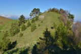 Image of landscape