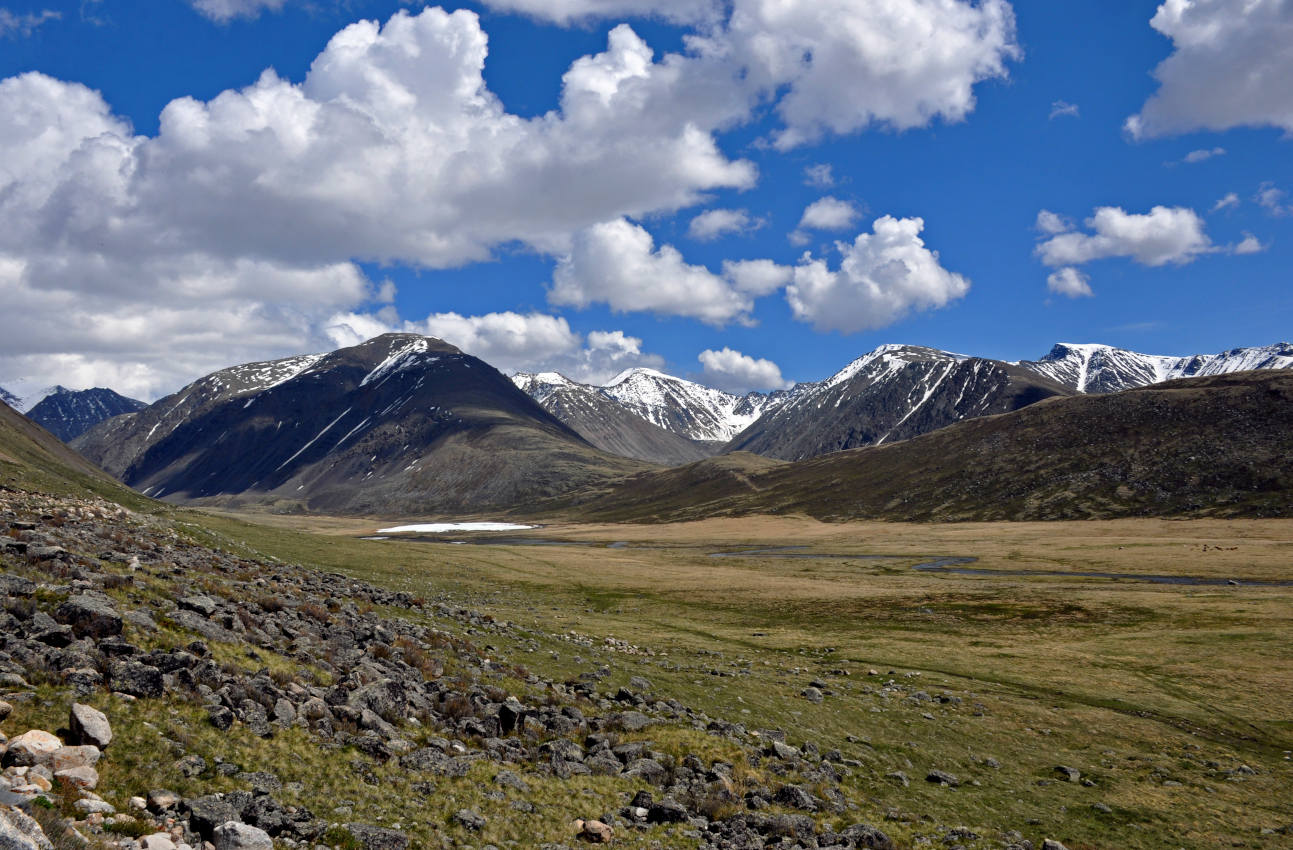 Долина реки Нарын-Гол, image of landscape/habitat.