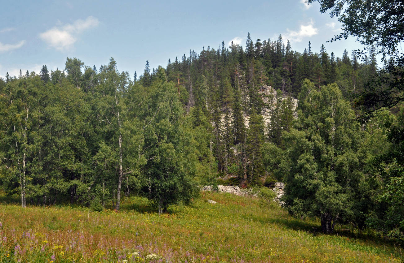 Хребет Москаль, image of landscape/habitat.