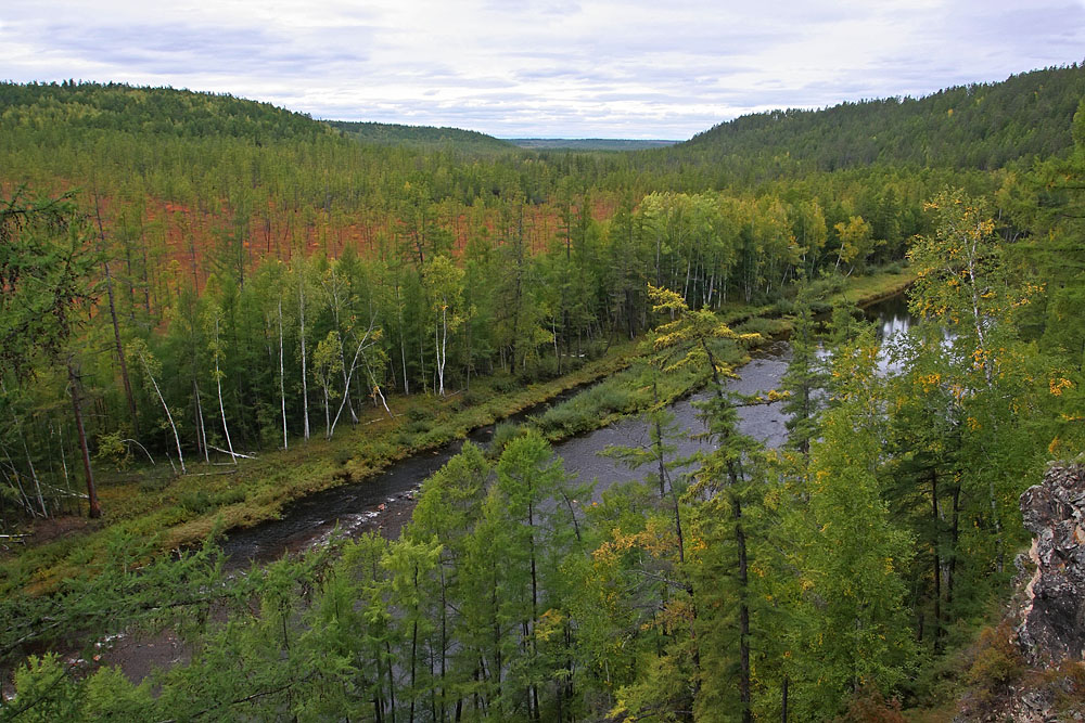 Правая Кохани, image of landscape/habitat.