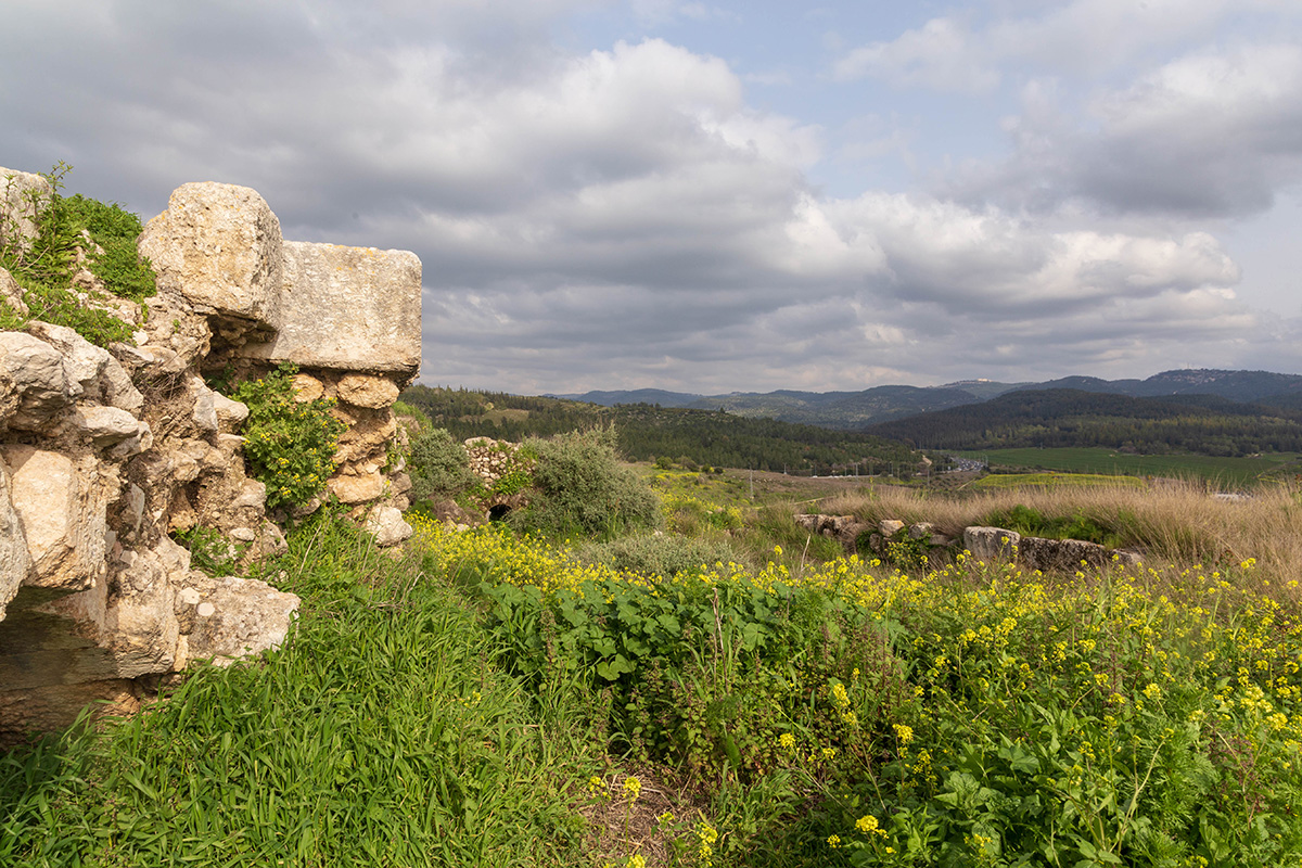 Окрестности Латруна, image of landscape/habitat.