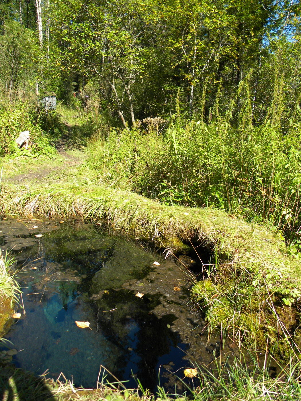 Таловские чаши, image of landscape/habitat.