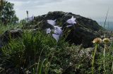 Крыктытау, image of landscape/habitat.