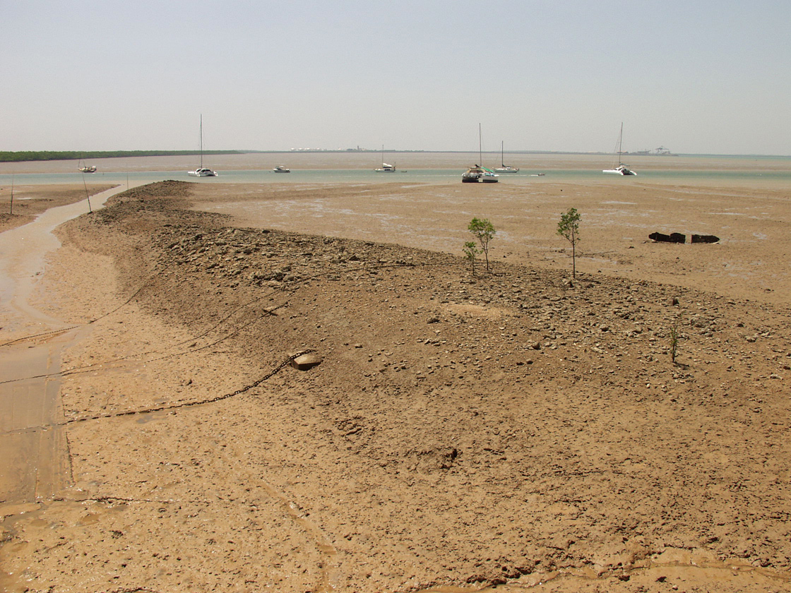 Дарвин и окрестности, image of landscape/habitat.