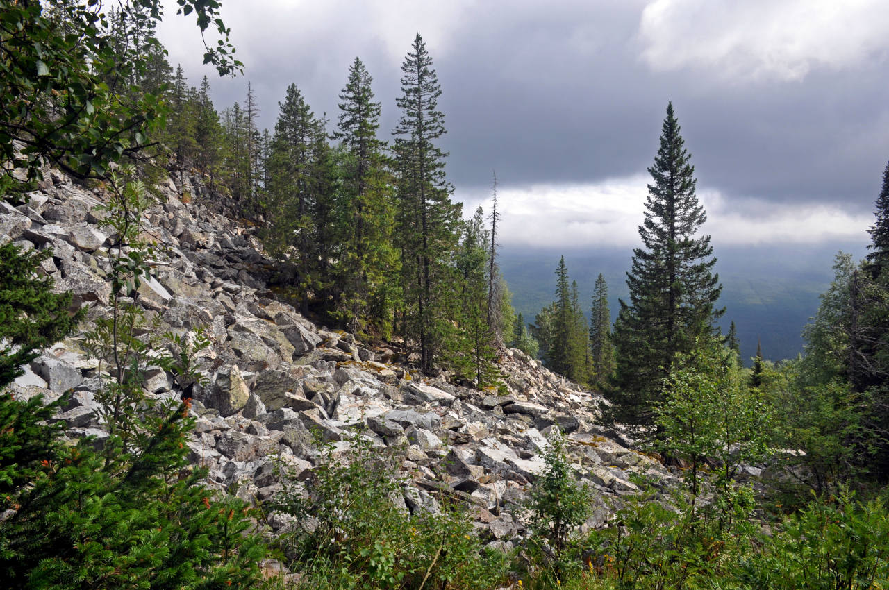 Хребет Москаль, image of landscape/habitat.