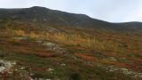 Image of landscape