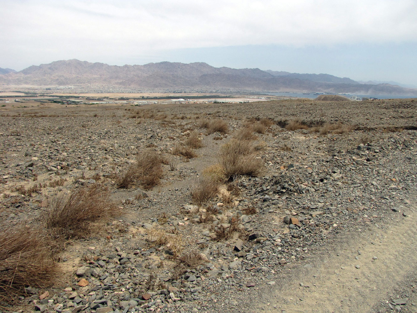 Эйлатские горы, image of landscape/habitat.