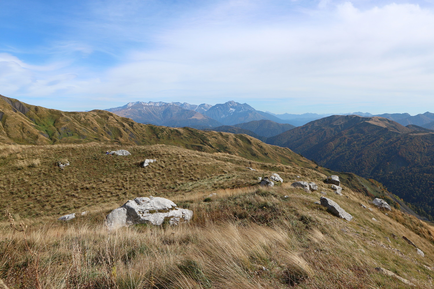 Гузерипльский перевал, image of landscape/habitat.