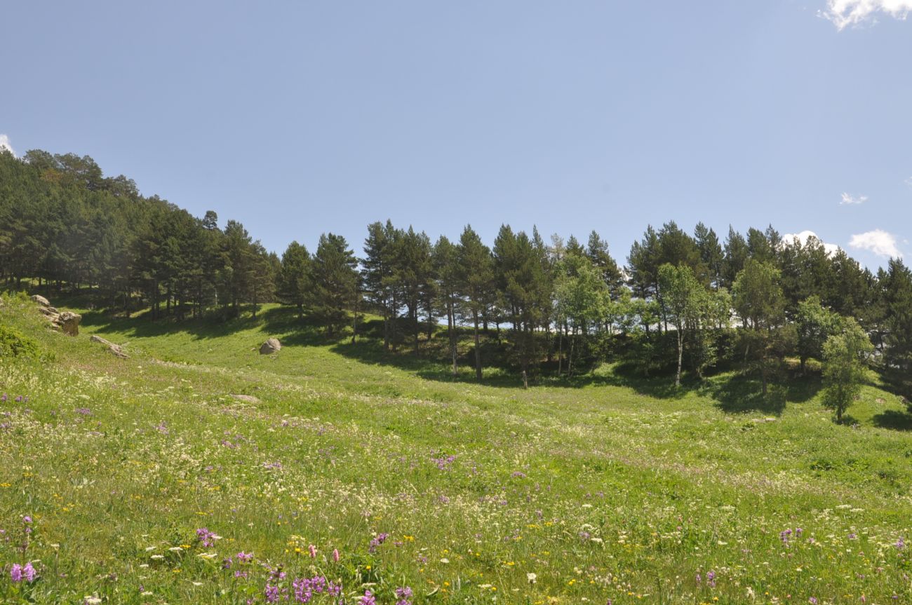 Долина реки Терскол, изображение ландшафта.