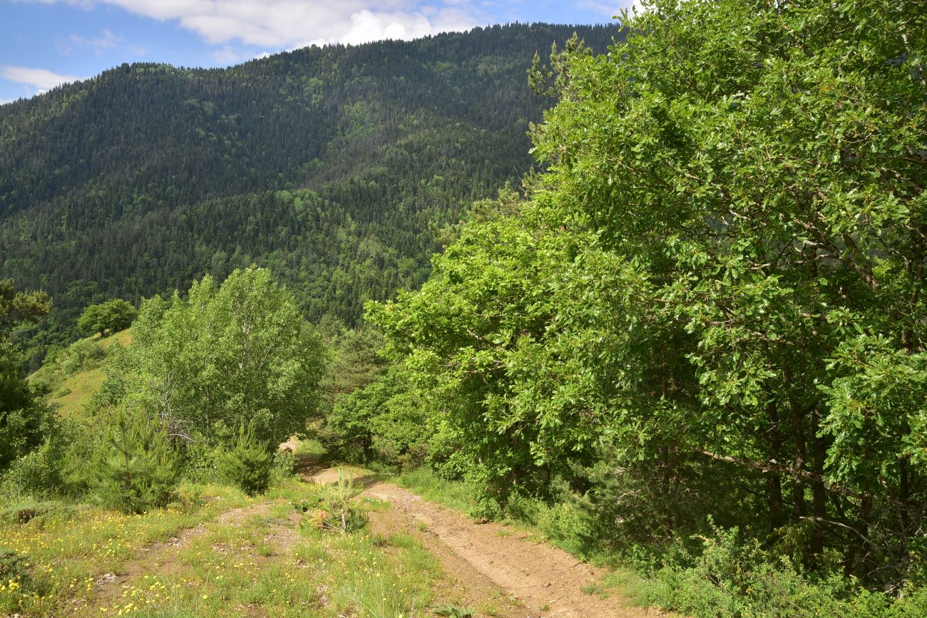 Цинубанская баня, image of landscape/habitat.