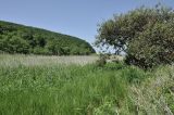 Image of landscape
