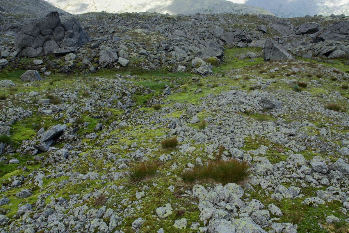 Подножье Тахтарвумчорра, изображение ландшафта.