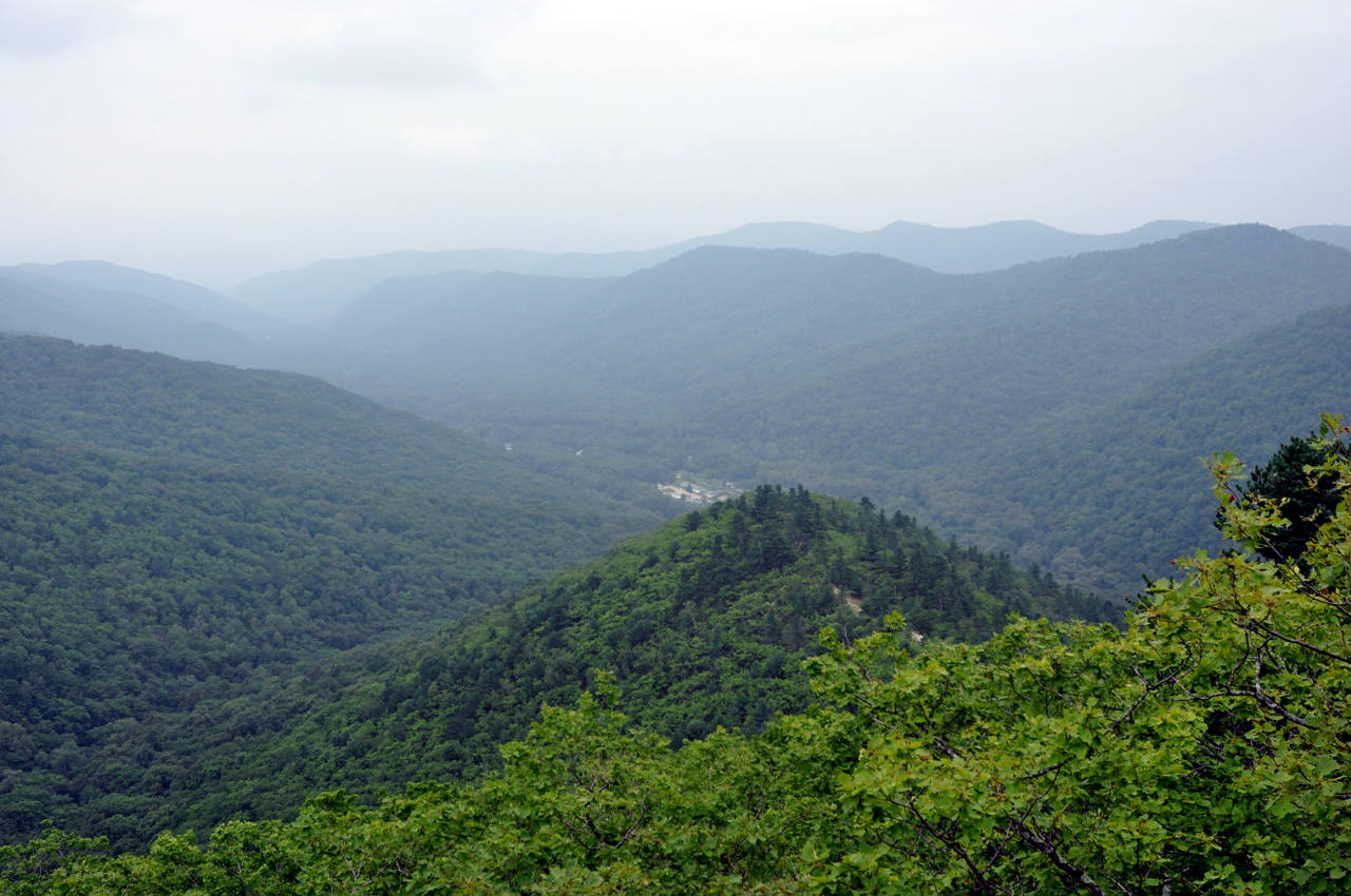 Окрестности села Чистоводное, image of landscape/habitat.