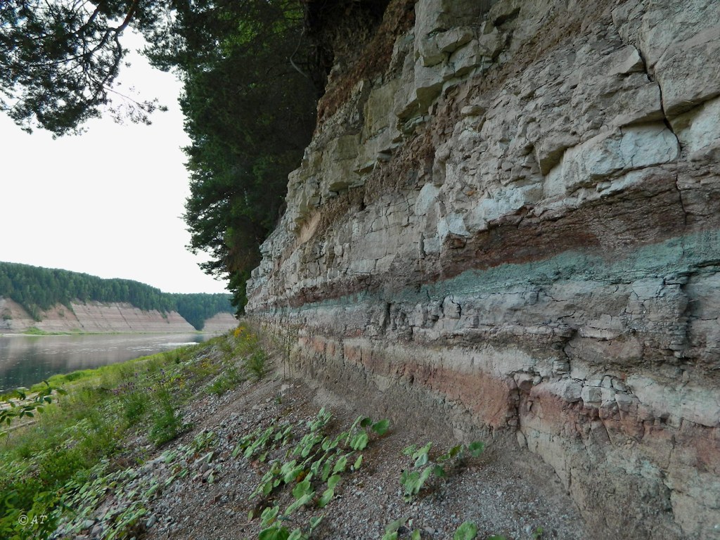 Устье Стрельны, image of landscape/habitat.