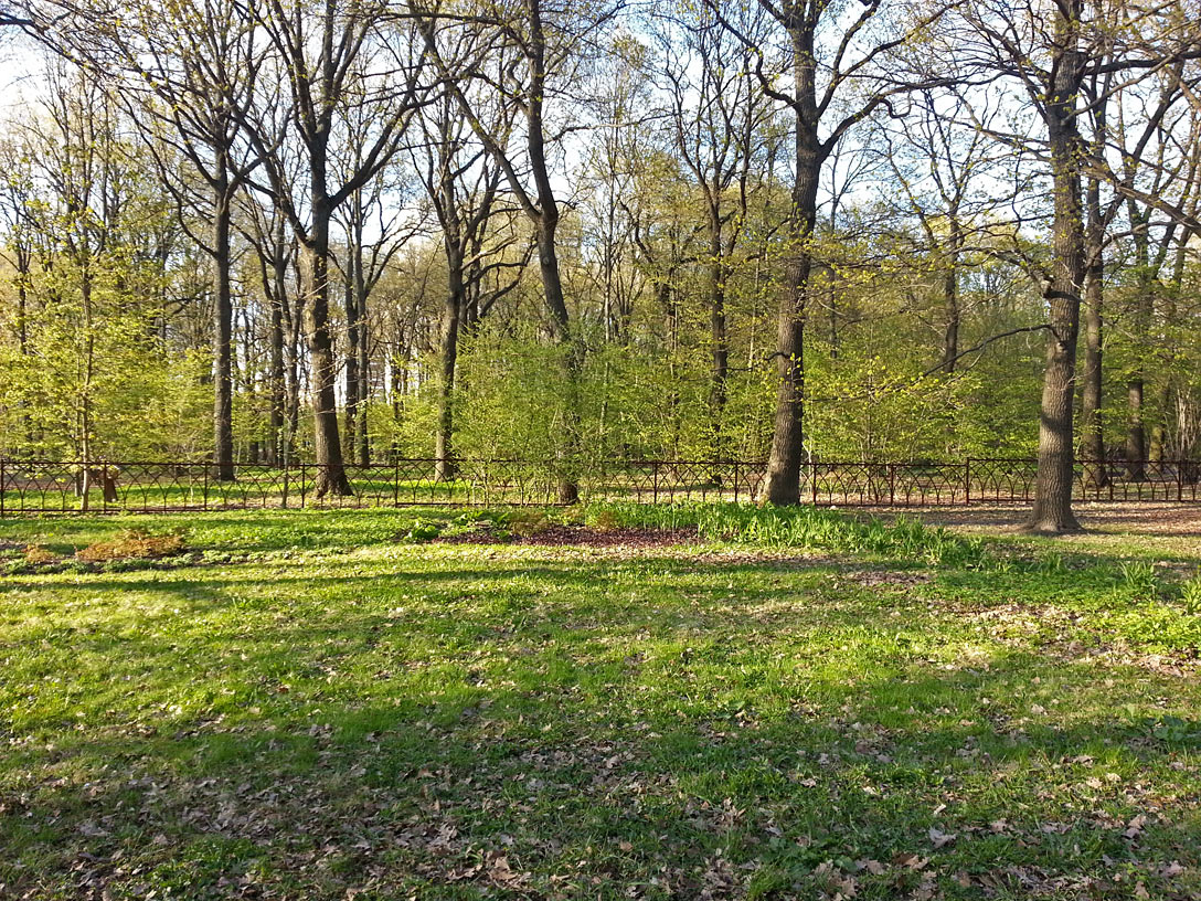 Воронцовский парк, image of landscape/habitat.