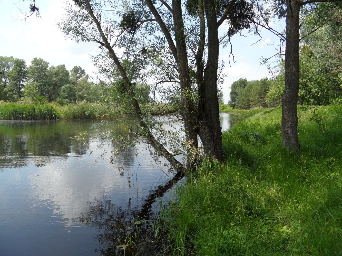 Окрестности села Коробовка, image of landscape/habitat.