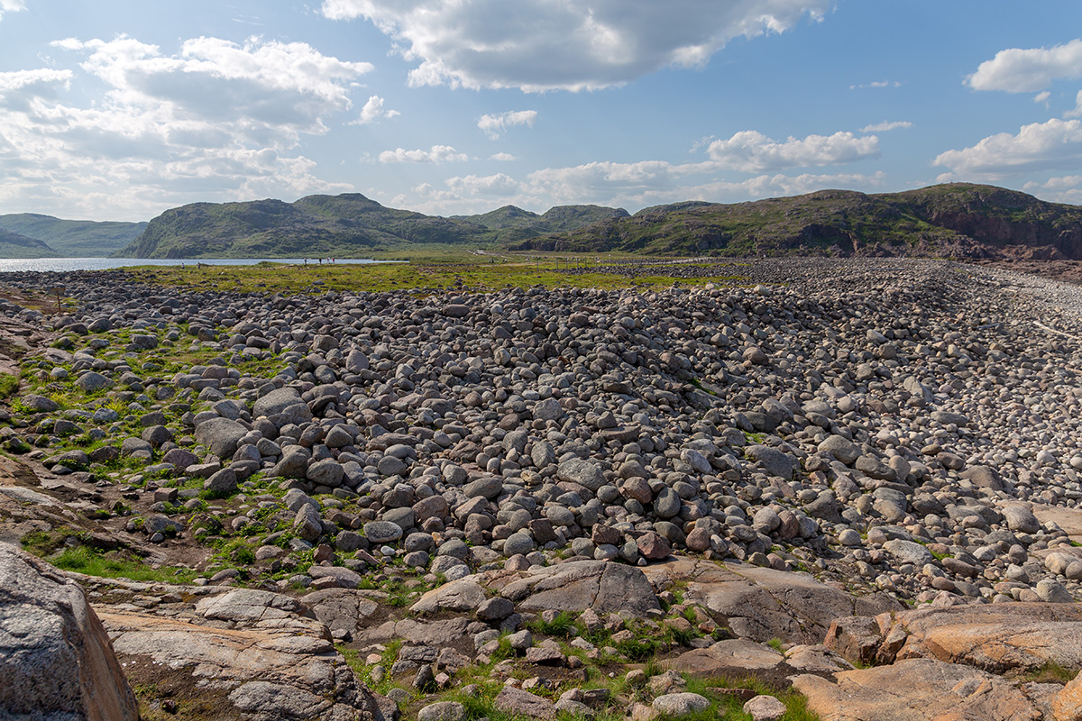 Териберка, image of landscape/habitat.