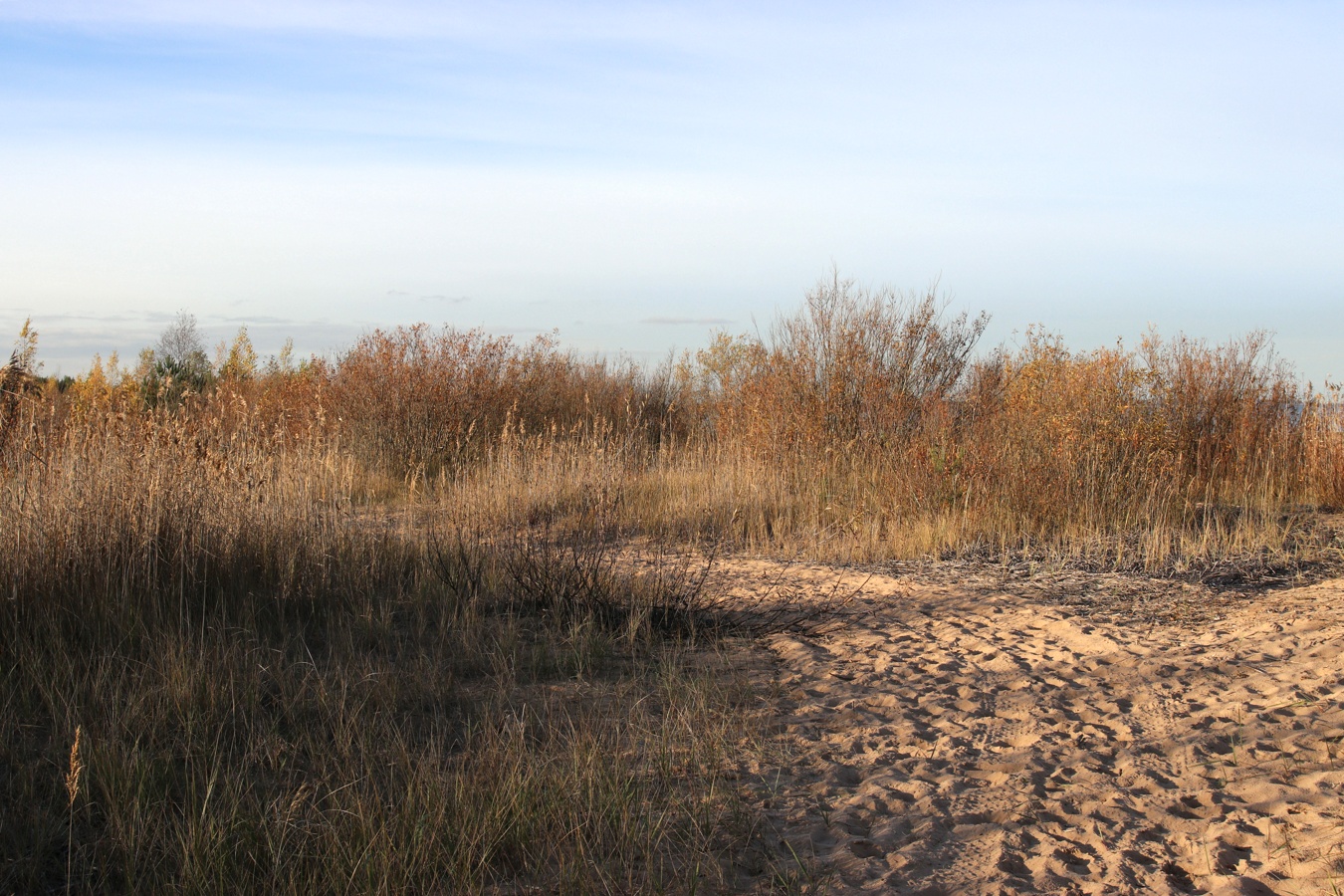 Окрестности Коккорево, изображение ландшафта.
