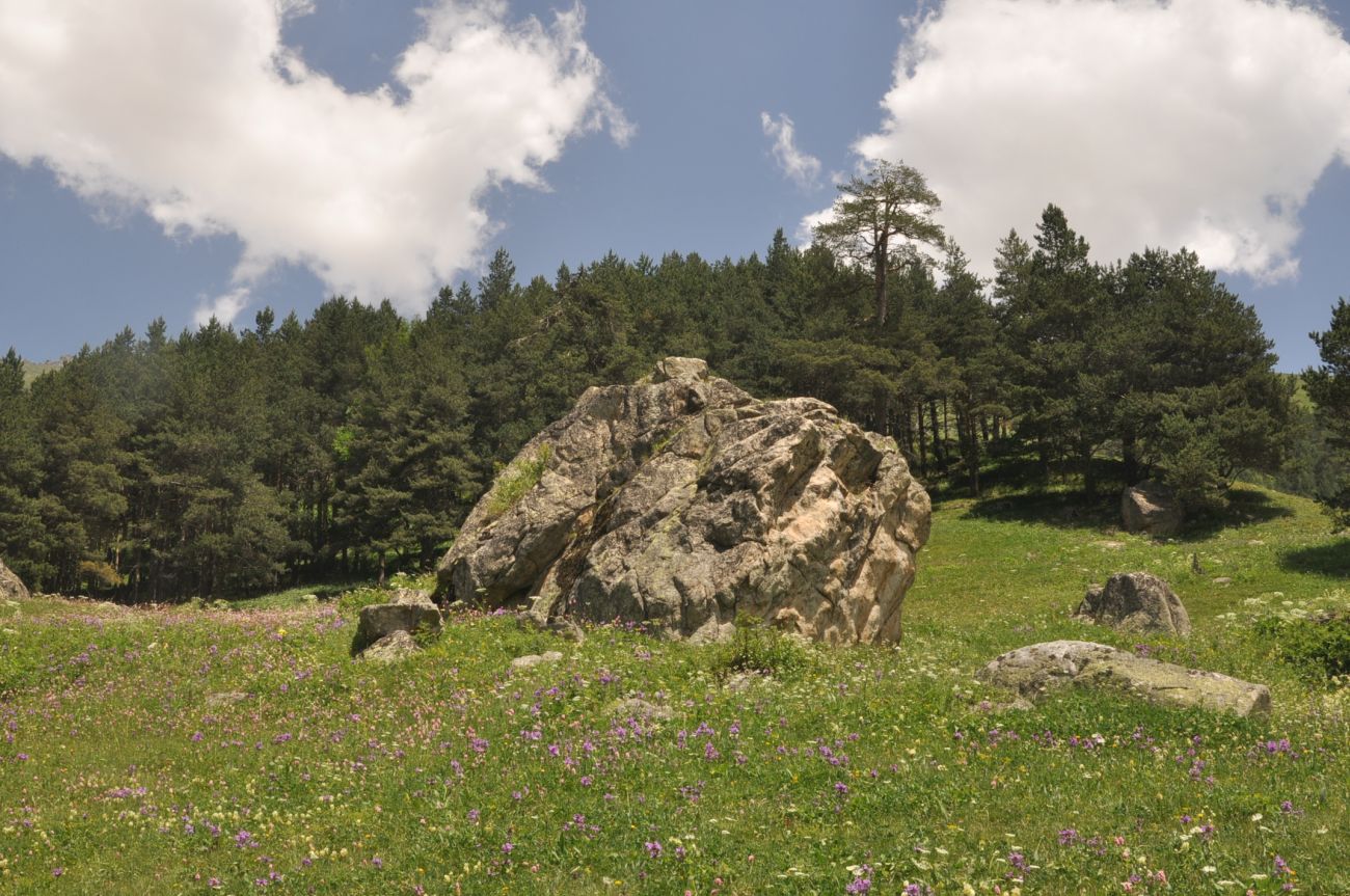 Долина реки Терскол, изображение ландшафта.