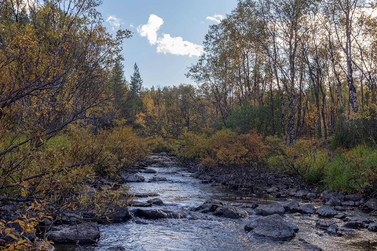 Река Ура, image of landscape/habitat.