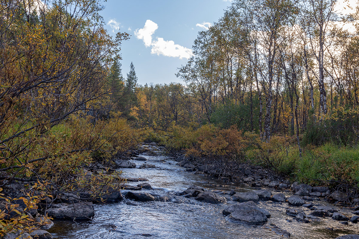 Река Ура, image of landscape/habitat.