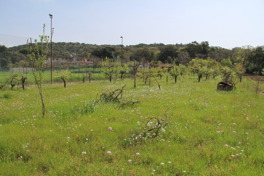 Гаэта, image of landscape/habitat.