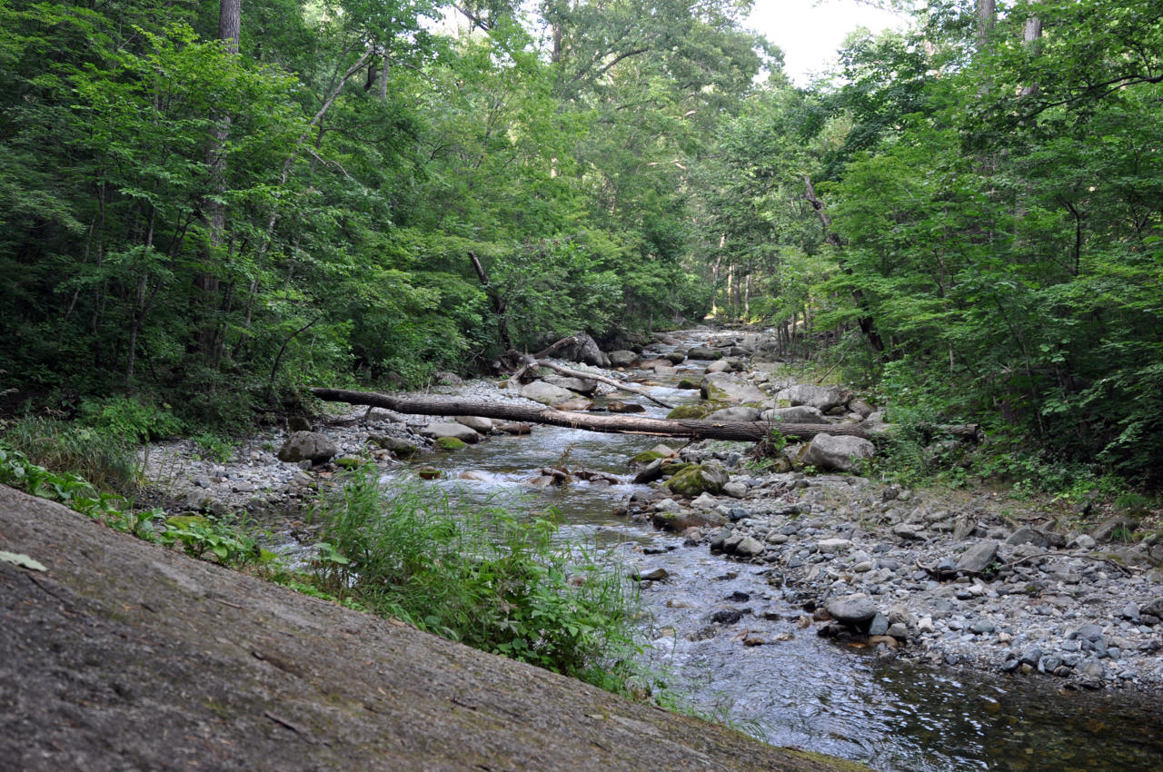 Окрестности села Чистоводное, image of landscape/habitat.