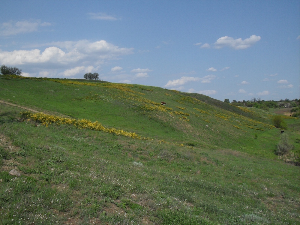 Кировск и окрестности, изображение ландшафта.