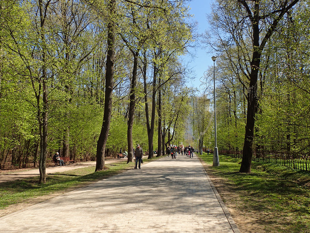 Воронцовский парк, image of landscape/habitat.