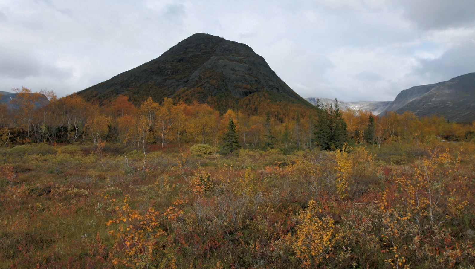 Долина Малого Вудъявра, image of landscape/habitat.