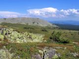 Image of landscape