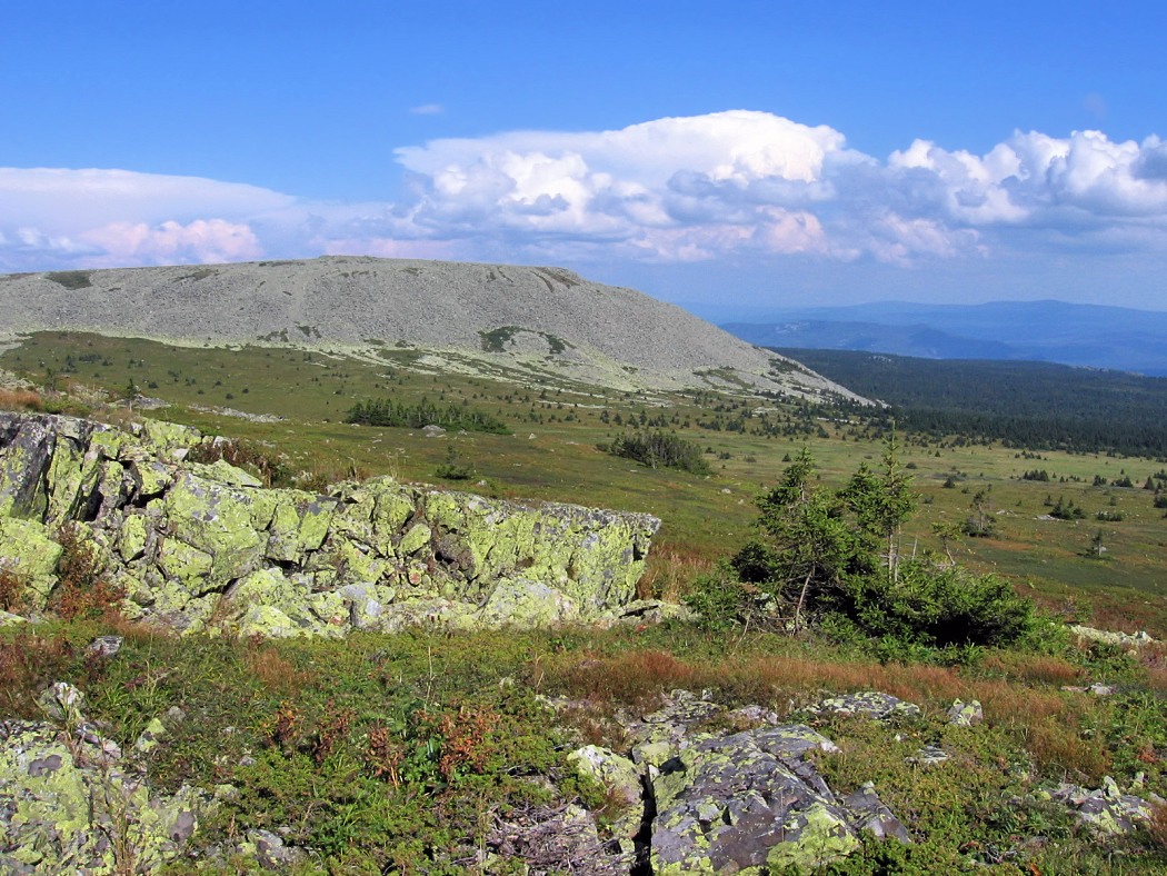 Зигальга, image of landscape/habitat.