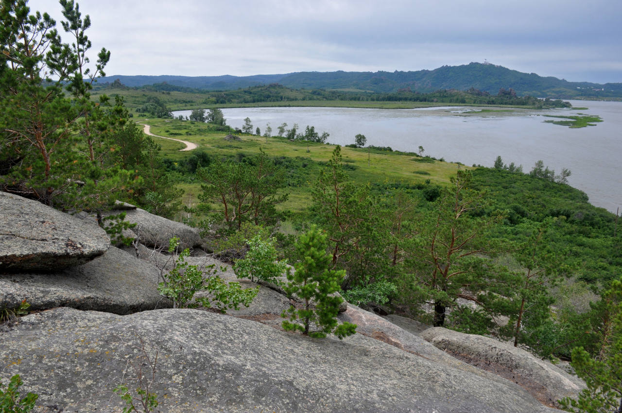 Озеро Колыванское, image of landscape/habitat.