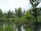 Image of landscape