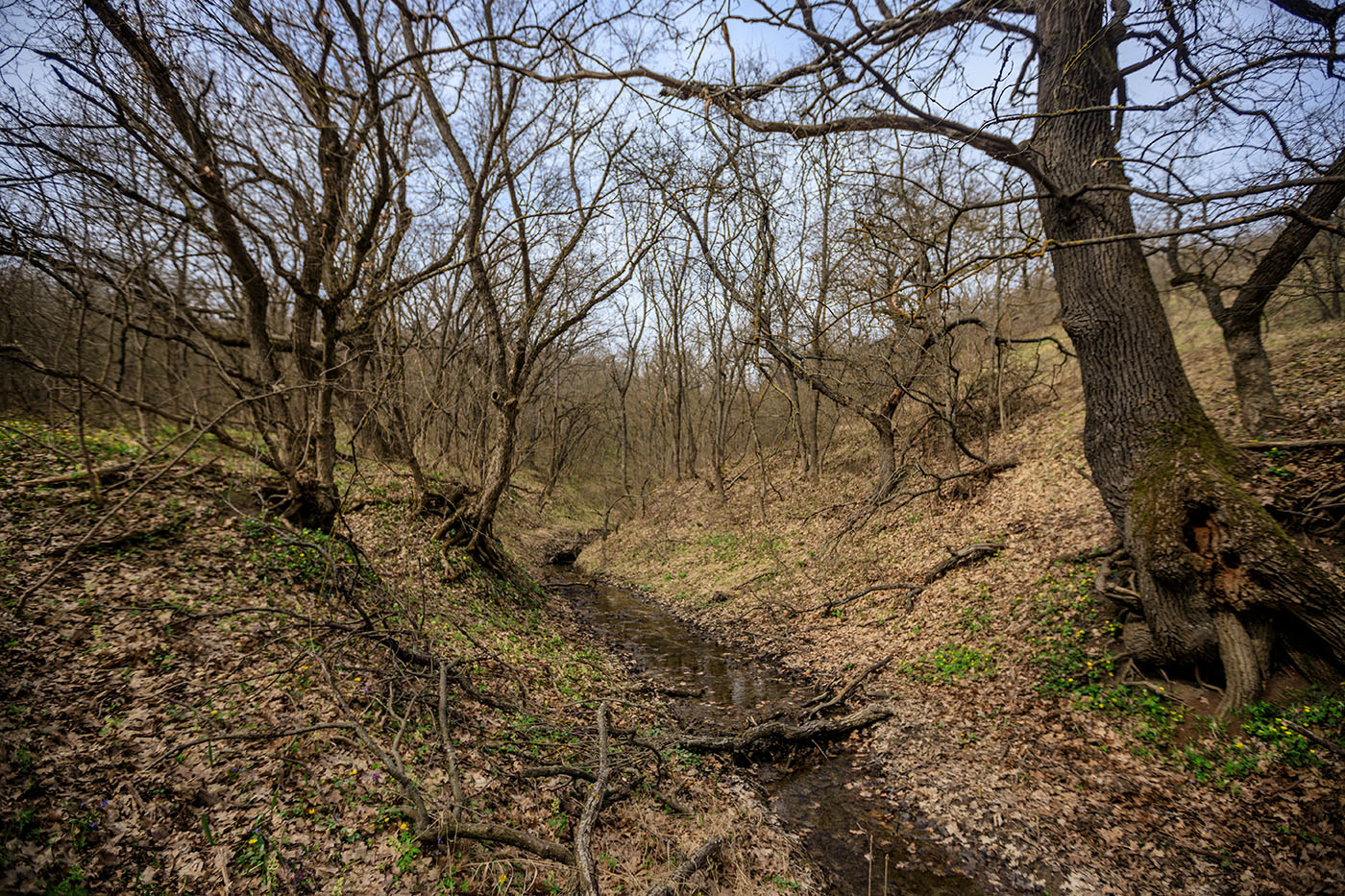 Раздорские склоны, image of landscape/habitat.