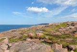 Териберка, image of landscape/habitat.